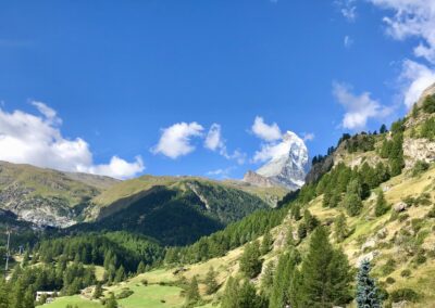 Zermatt Flower Box