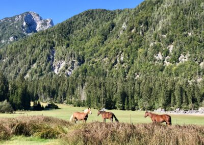 Lago di Fusine